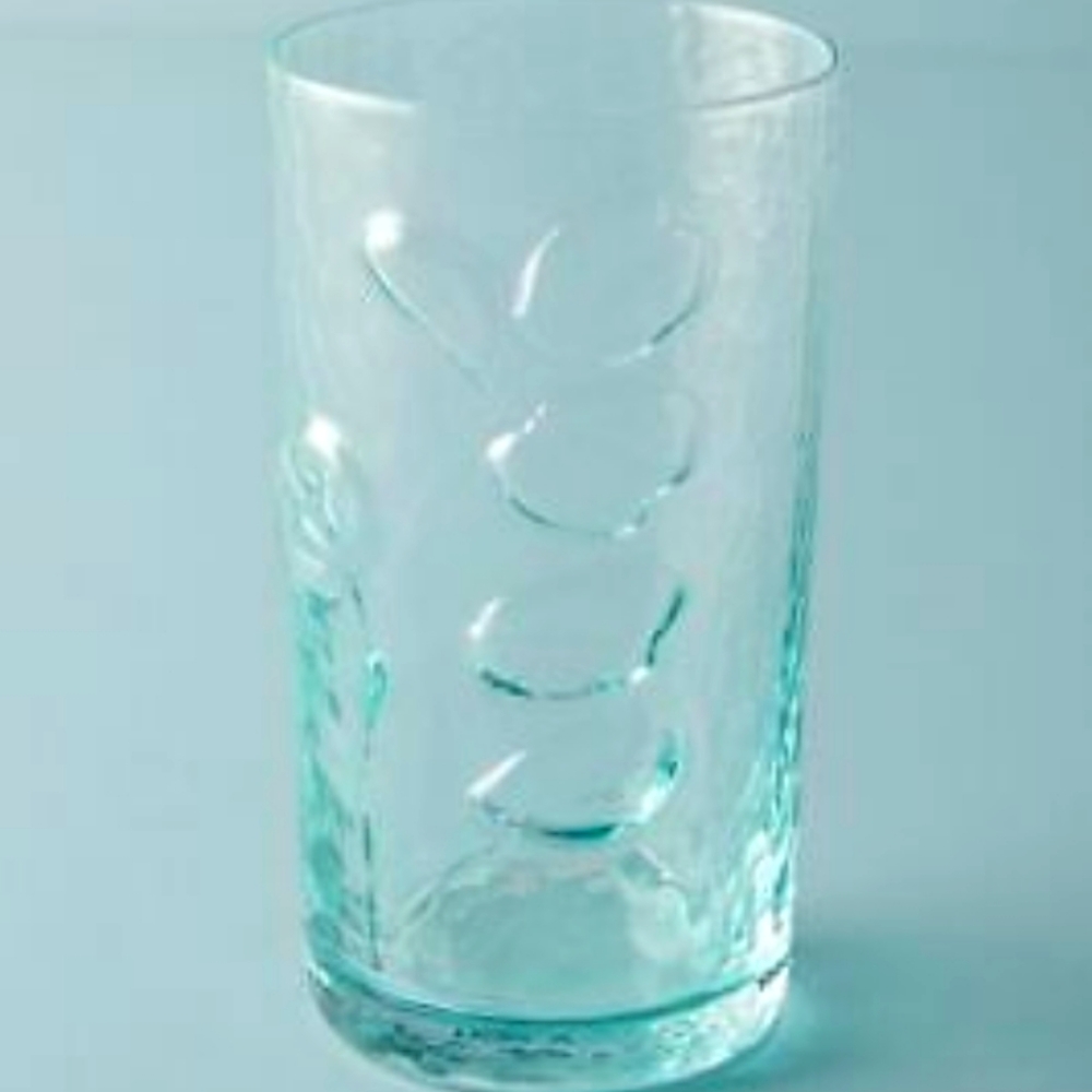 NWOT Anthropologie Sundrop Juice glasses